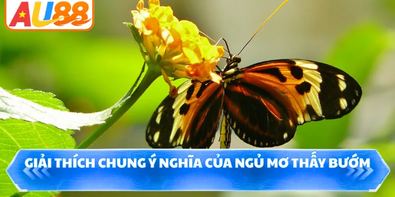 Giải thích chung ý nghĩa của ngủ mơ thấy bướm