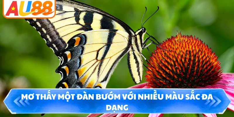 Mơ thấy một đàn bướm với nhiều màu sắc đa dạng